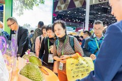 2024进博察看：首发首展首秀“种子”遍地开花
