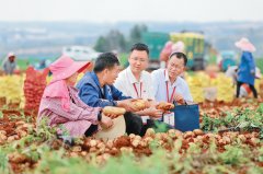 <b>承继和《寻乌查询拜访》的优秀保守</b>
